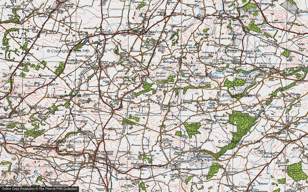 Old Map of Withybrook, 1919 in 1919