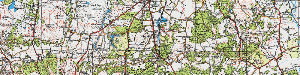 Old map of Witley in 1920