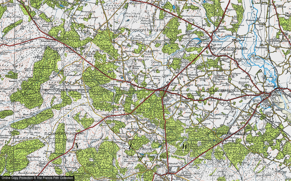 Old Map of Historic Map covering Bignell Wood in 1919