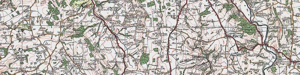 Old map of Wolferlow in 1920