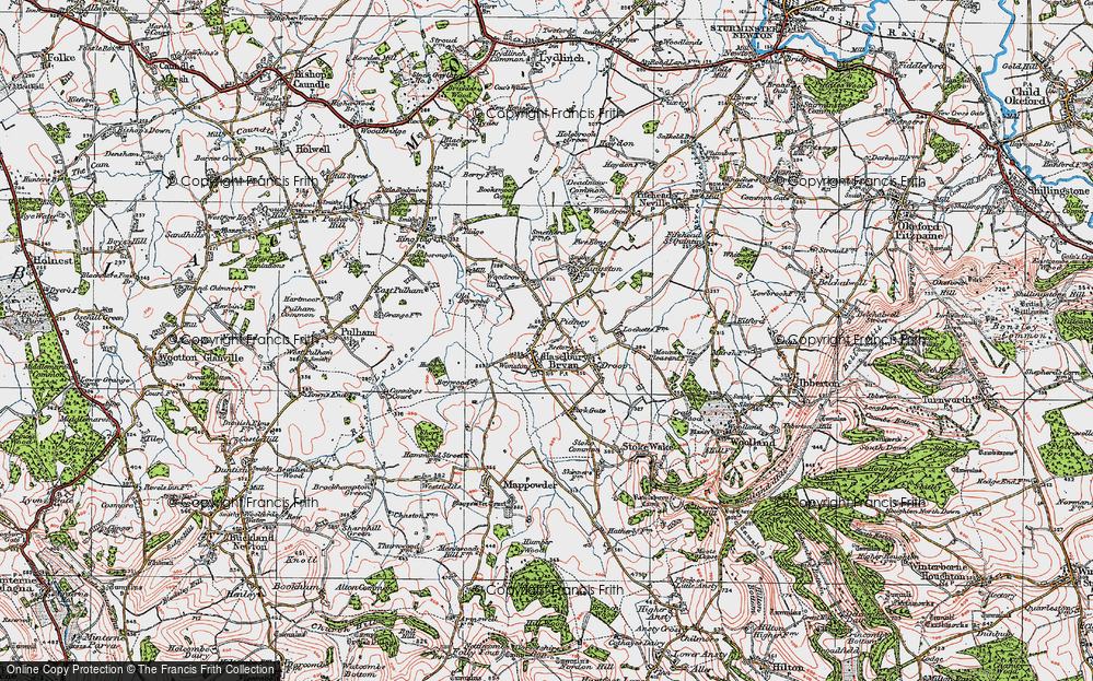 Old Map of Wonston, 1919 in 1919