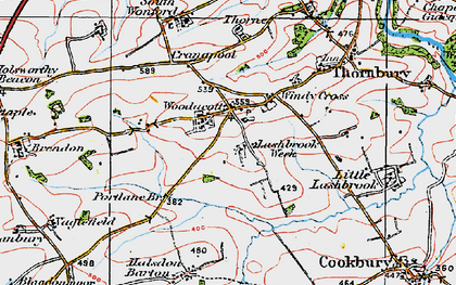 Old map of Woodacott Cross in 1919