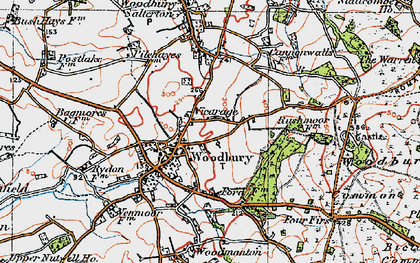 Old map of Bicton Common in 1919