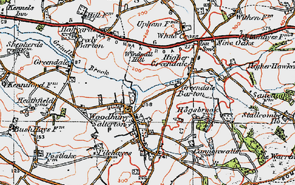 Old map of Woodbury Salterton in 1919