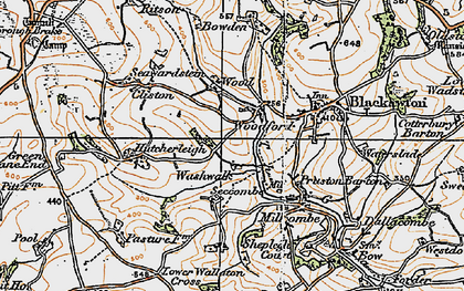 Old map of Woodford in 1919