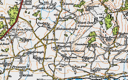 Old map of Woodgate in 1919