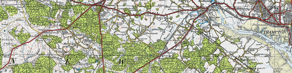 Old map of Busketts Wood in 1919
