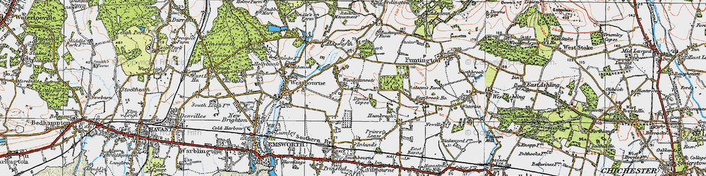 Old map of Woodmancote in 1919