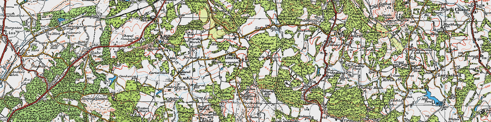 Old map of Woodmansgreen in 1919