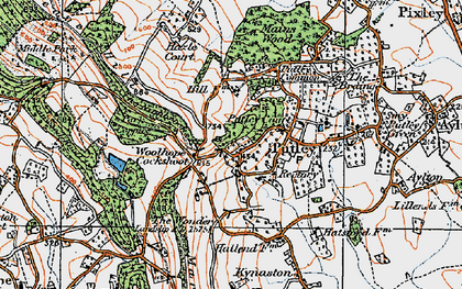 Old map of Woolhope Cockshoot in 1920