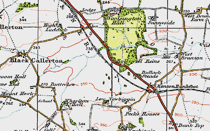 Old map of Woolsington in 1925
