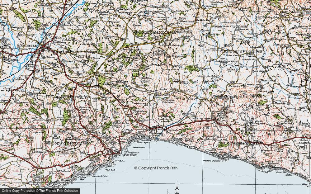 Old Map of Wootton Fitzpaine, 1919 in 1919