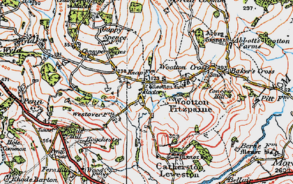 Old map of Wootton Fitzpaine in 1919