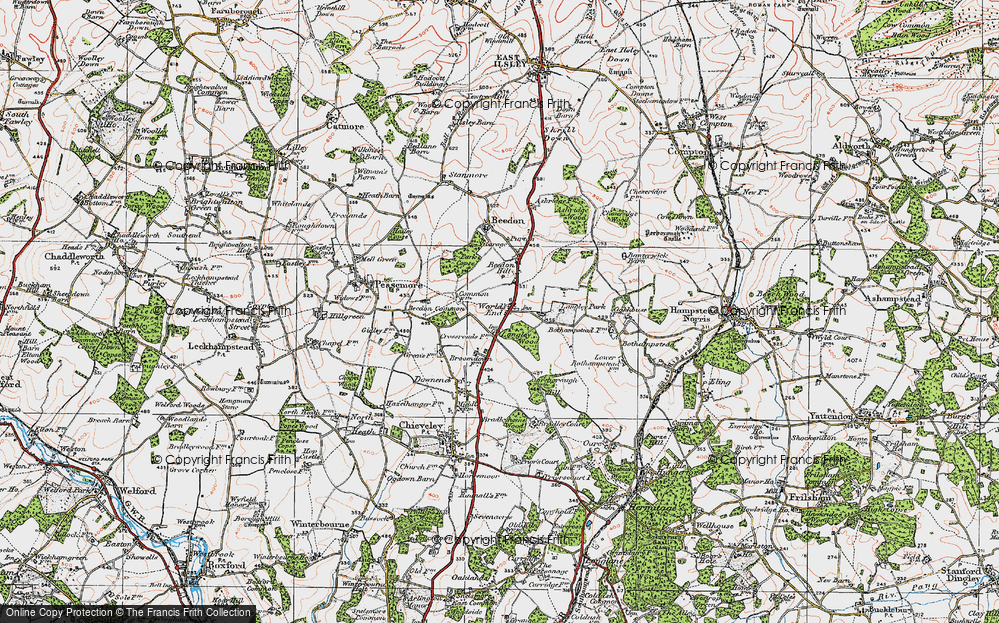 Old Map of Historic Map covering Beedon Common in 1919