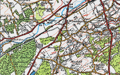 Old map of Wrecclesham in 1919
