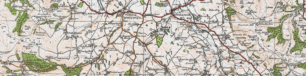 Old map of Black Down Wood in 1919