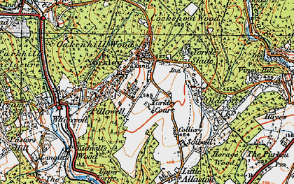 Old map of Yorkley in 1919