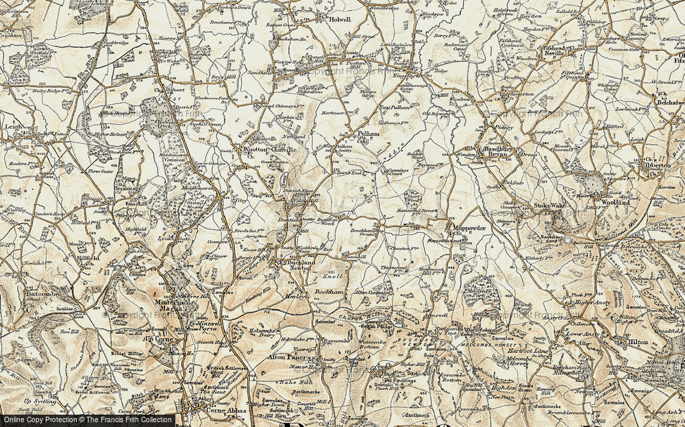 Beaulieu Wood, 1899