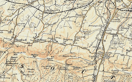 Old map of Bepton Down in 1897-1900