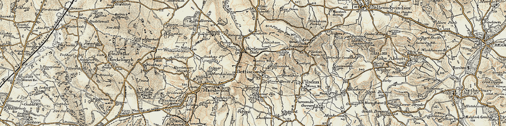 Old map of Bettiscombe in 1898-1899