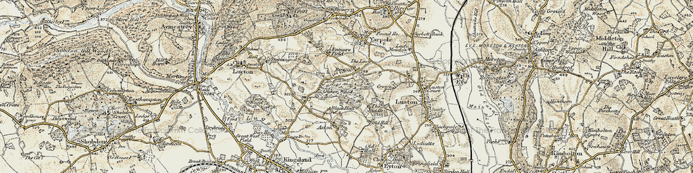 Old map of Bicton in 1900-1903