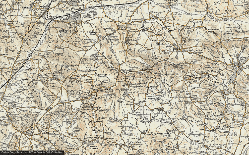Old Map of Birdsmoorgate, 1898-1899 in 1898-1899