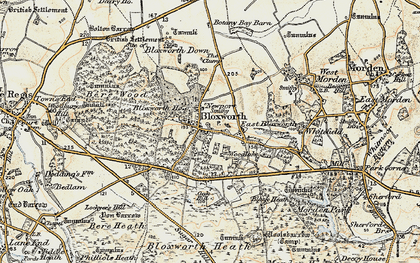 Old map of Bloxworth in 1897-1909
