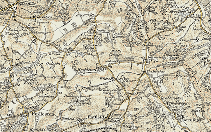 Old map of Bockleton in 1899-1902