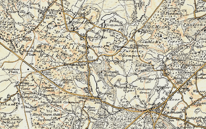 Old map of Bramshaw in 1897-1909