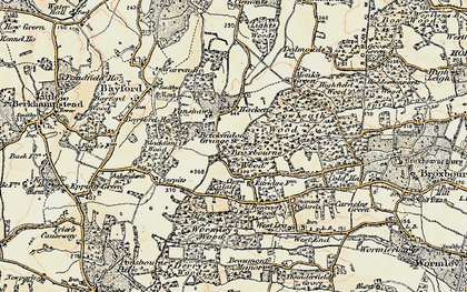 Old map of Blackfan Wood in 1898