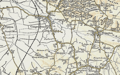 Old map of Brinsea in 1899-1900