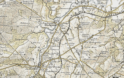 Old map of Broom Hill in 1901-1904