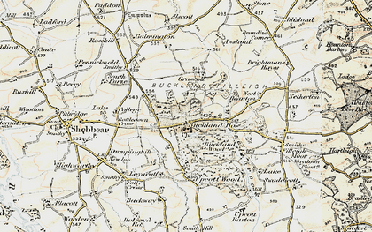 Old map of Brightmans Hayes in 1900