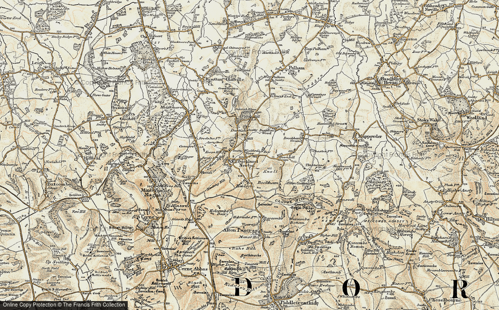 Old Map of Buckland Newton, 1899 in 1899