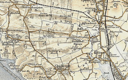 Old map of Buckland Ripers in 1899