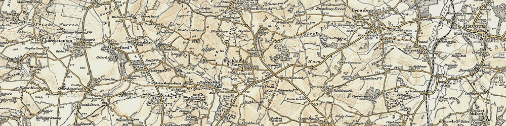 Old map of Buckland St Mary in 1898-1900