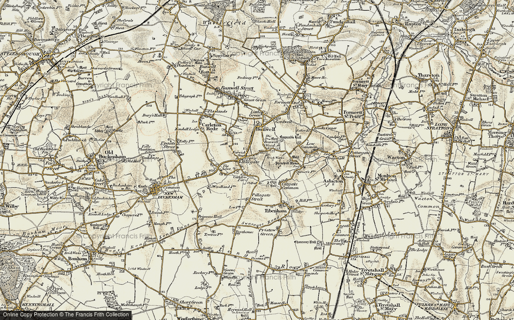 Old Map of Bunwell Hill, 1901-1902 in 1901-1902