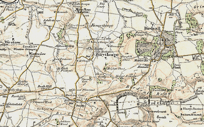 Old map of Burythorpe in 1903-1904
