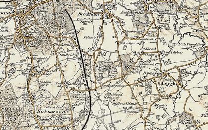 Old map of Bushbury in 1898-1909