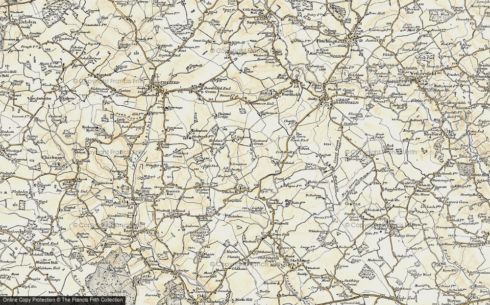Bustard Green, 1898-1899