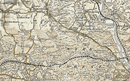 Old map of Blackgraves Copse in 1901-1902