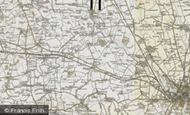Cock Hill, 1903-1904