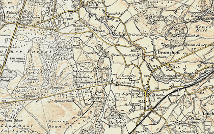 Old map of Woolmer Forest in 1897-1900