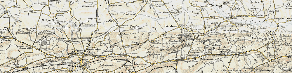 Old map of Cookbury Wick in 1900