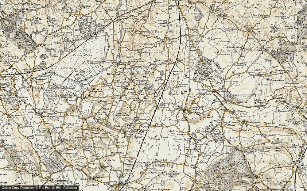 Coton, 1902