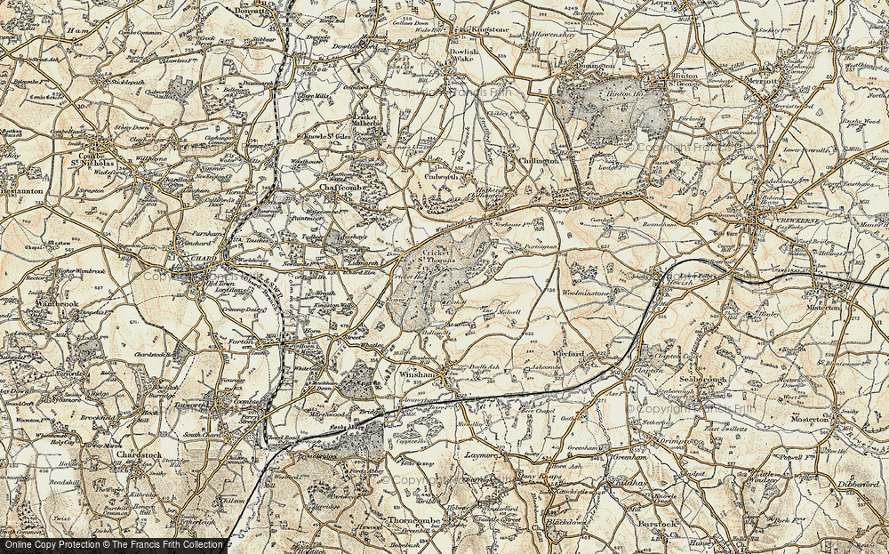 Cricket St Thomas, 1898-1899