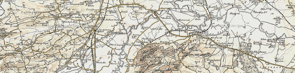 Old map of Breidden Forest in 1902