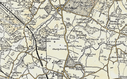Old map of Wickham Common in 1897-1899