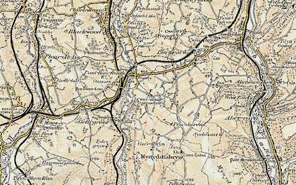 Old map of Cwmnantyrodyn in 1899-1900