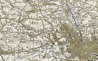 Old map of Daisy Hill in 1903-1904